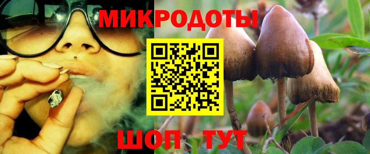 Алексин  сколько стоит  Вход с VPN  Псилоцибиновые грибы MAGIC MUSHROOMS 